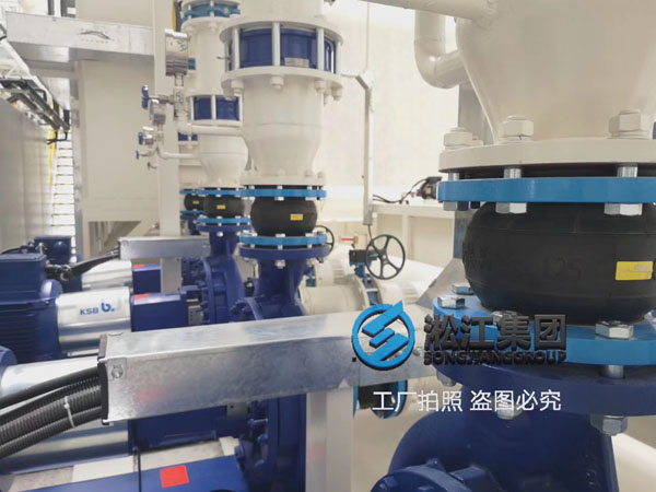 德國凱士比KSB水泵 橡膠接頭 德國凱士比KSB水泵 橡膠接頭