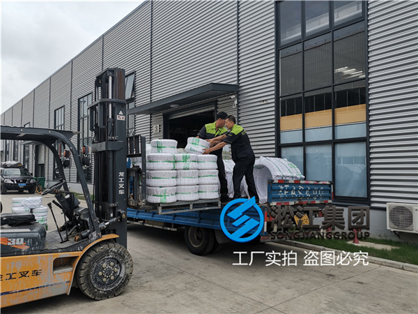 冷凍水泵用DN300/DN200橡膠軟連接 冷凍水泵用DN300/DN200橡膠軟連接