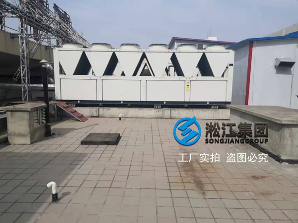 格力模塊化風(fēng)冷冷(熱)水機(jī)組減震降噪解決方案